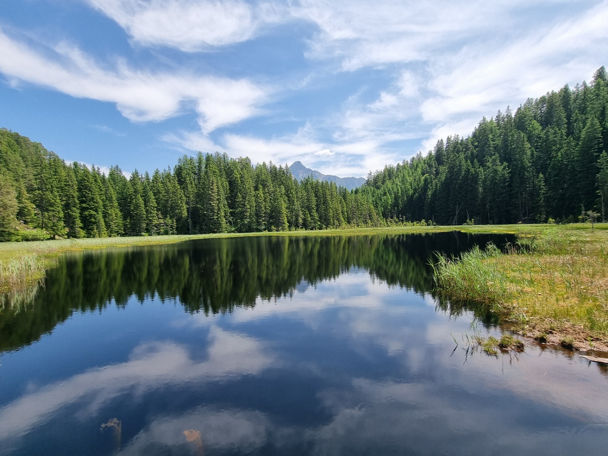 Brandsee mit Spiegelung im Wald