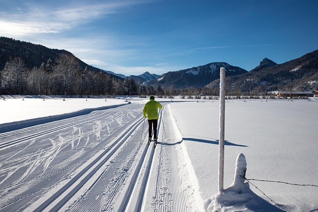 Langläufer auf einer Loipe im Winter